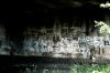 IMG_2270.jpg IMG_2270.jpg