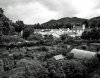 allotments 1a.jpg