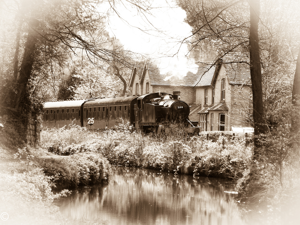 Sepia steam through consall