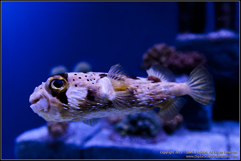 FileFish_15Sep-03.jpg