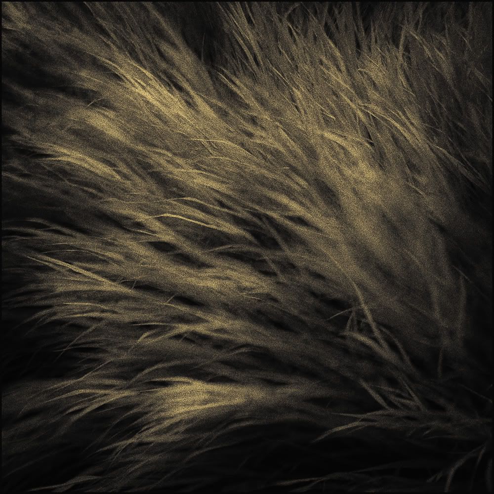 Grass-1.jpg
