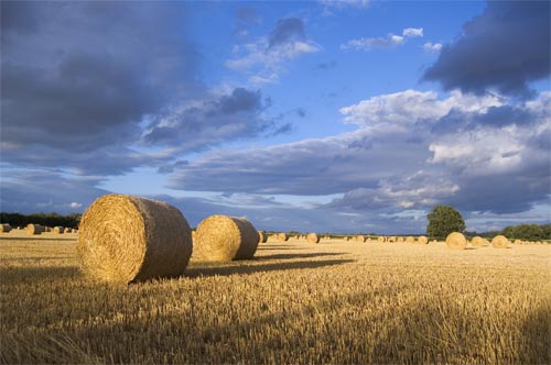 hay-bale-landscape.jpg